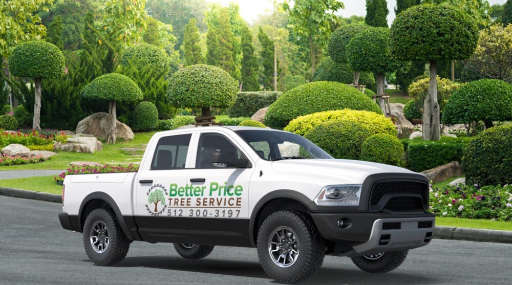 tree trimming service
